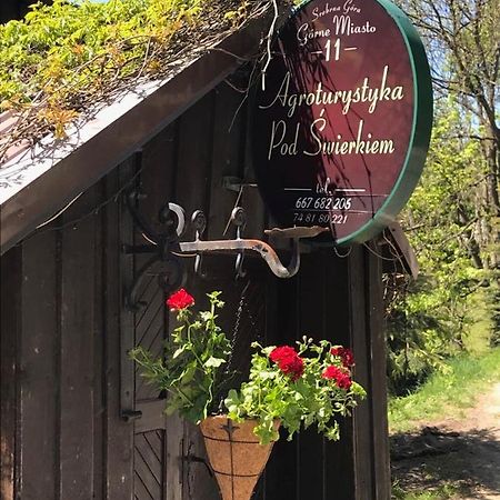 Agroturystyka Pod Swierkiem Srebrna Gora Bagian luar foto