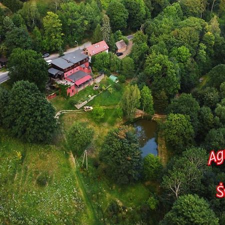 Agroturystyka Pod Swierkiem Srebrna Gora Bagian luar foto