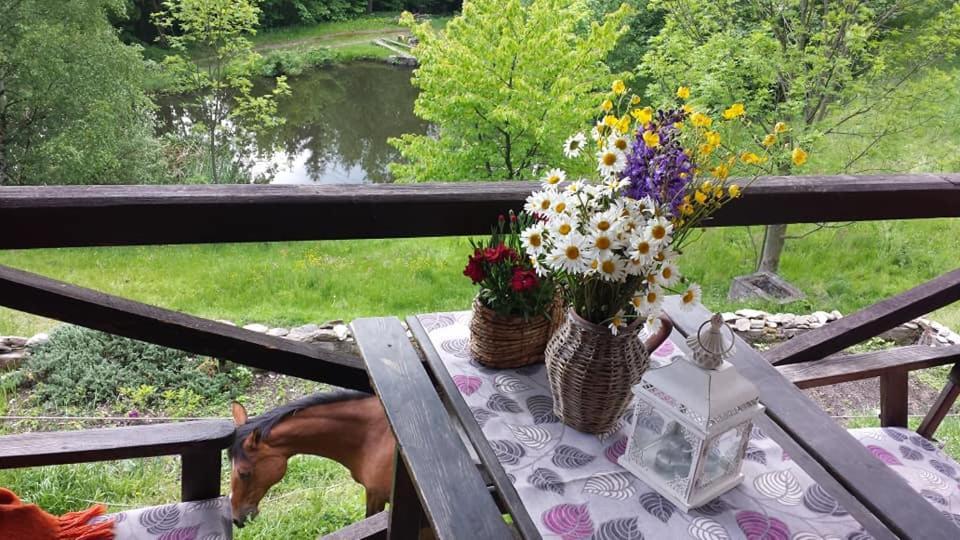 Agroturystyka Pod Swierkiem Srebrna Gora Bagian luar foto