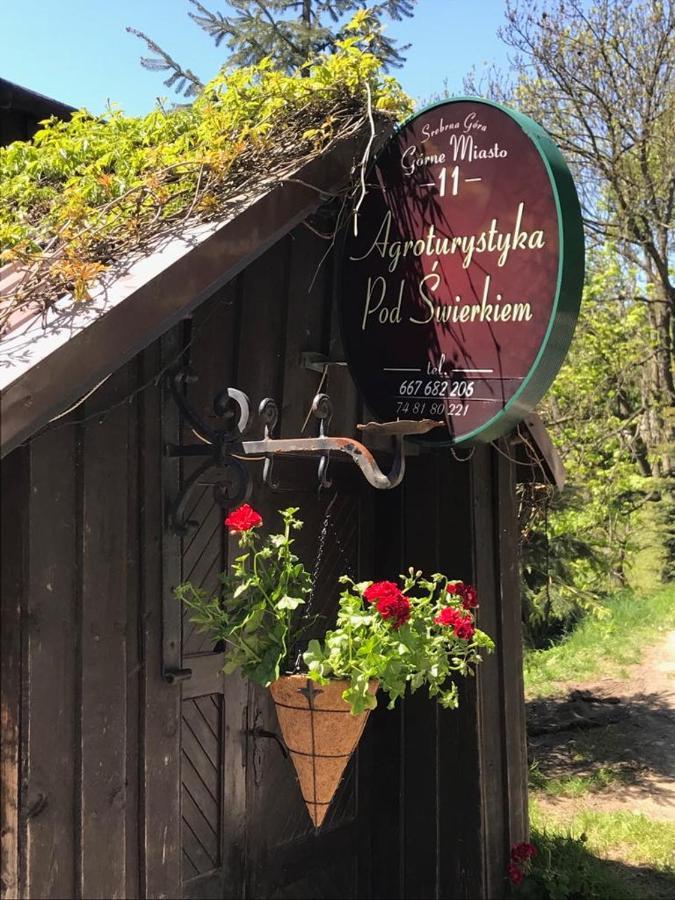 Agroturystyka Pod Swierkiem Srebrna Gora Bagian luar foto