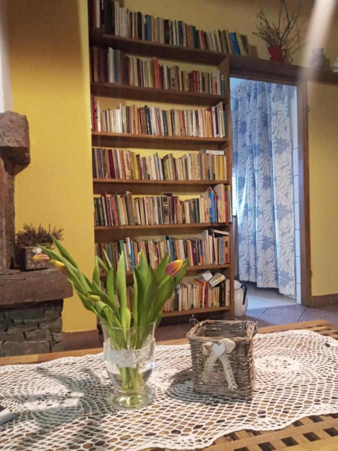 Agroturystyka Pod Swierkiem Srebrna Gora Bagian luar foto